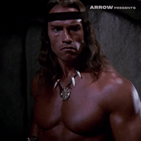 Arnold Schwarzenegger Film GIF by Arrow Video