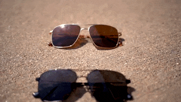 Sunglasses Exploremore GIF by Zeal Optics