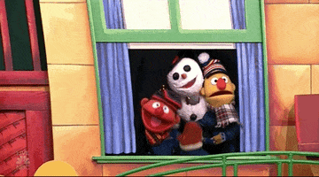 Sesame Street GIF by The 96th Macy’s Thanksgiving Day Parade