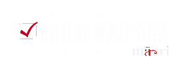 Hana Maori Sticker by MāoriParty