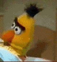 Sesame Street gif. Bert lies in bed, his frown intensifying as he slowly turns to look at us.