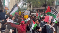 Supporters of Palestine and Israel Face Off During Protests in New York's Times Square