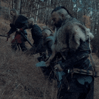 Vikings GIF by THE BEARD STRUGGLE