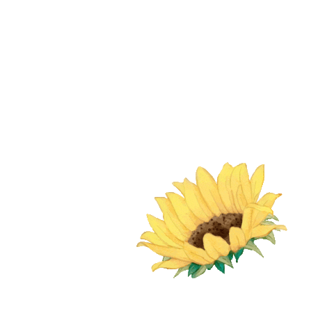 Sunflower Sticker