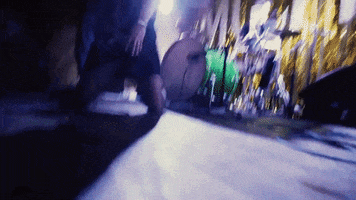Good Time Wtf GIF by Be Your Own Pet