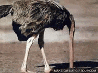 ostrich head in sand gif