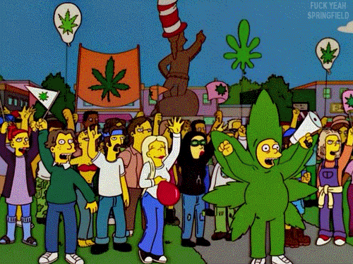 the simpsons weed GIF
