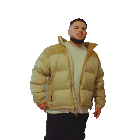 Black Koi Entertainment Sticker