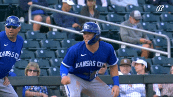 Look Out Major League Baseball GIF by Kansas City Royals