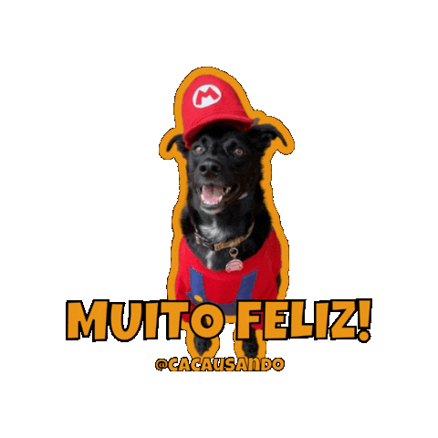 Happy Super Mario Bros Sticker