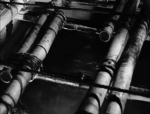 creature from the black lagoon