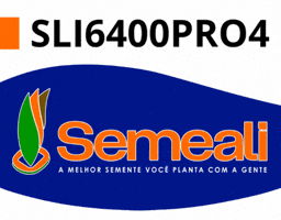 GIF by semealisementes