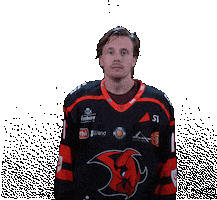 Fight Hockey Sticker by Saale Bulls