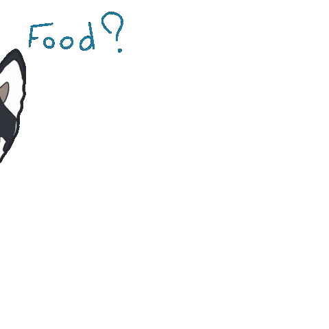 Dog Sticker