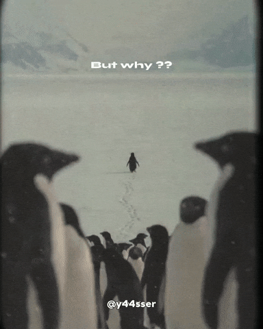 Penguin Motivation GIF