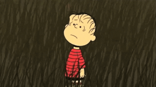 Image result for linus gif