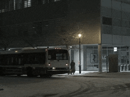 Canada Montreal GIF by TIFF