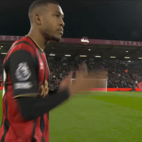 Warming Up Premier League GIF by AFC Bournemouth