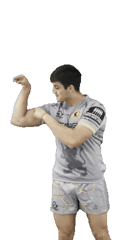 Sticker by Rugby Viadana 1970