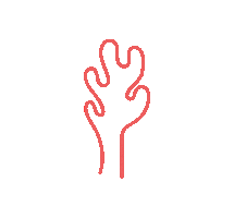 Coral Studio Sticker