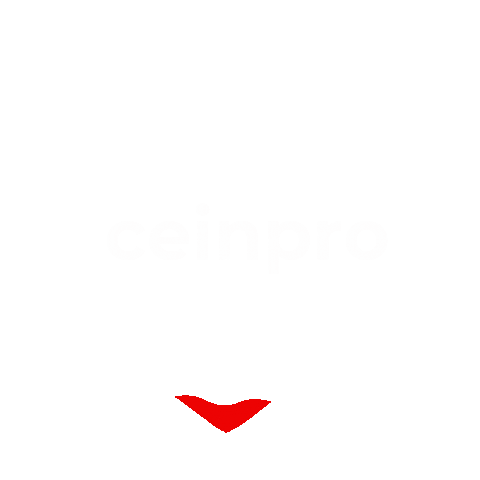 Amor Sticker by CEINPRO