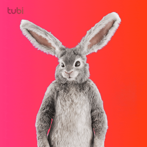 Bunny Im Him GIF by Tubi