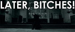 bitches