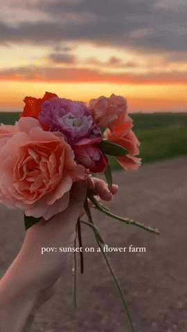 Flowers GIF
