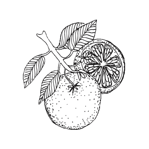 Cape of Storms Apothecary Sticker