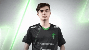 Esports Academy GIF by Sprout