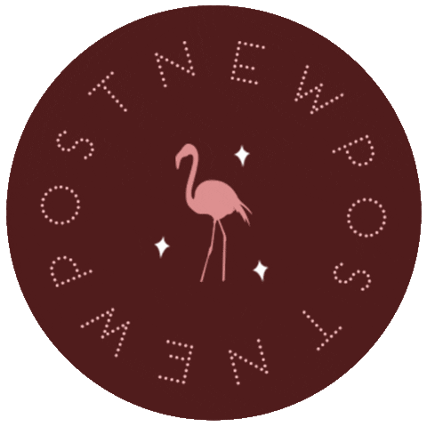 Stars Flamingo Sticker by Helm Design Studio