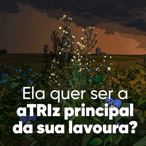 Sojacorteva GIF by Corteva Brasil
