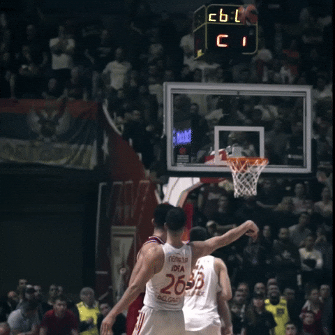 Crvena Zvezda Nedovic GIF