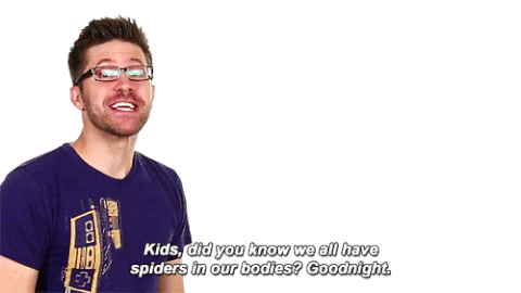 joe bereta