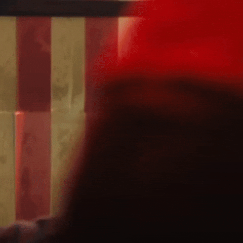 Raja Hindustani King GIF