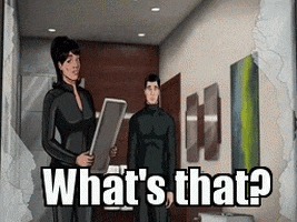 archer youre wrong GIF