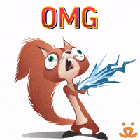Squirrel Omg GIF by Best Friends Animal Society