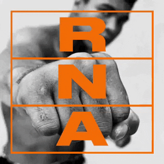 Rna GIF by Marseille Boxing Club