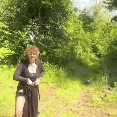Dungeons And Dragons Dnd GIF