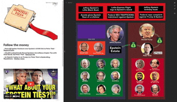 Jeffrey Epstein GIF