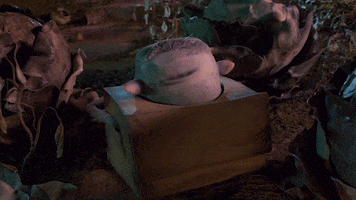 Stop Motion What GIF by LAIKA Studios