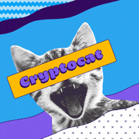 Cats Crypto GIF by Paxful