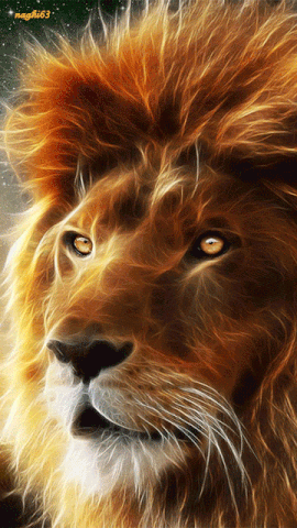 Mobile Wallpaper Gifs Get The Best Gif On Giphy