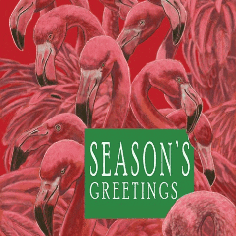 Christmas GIF