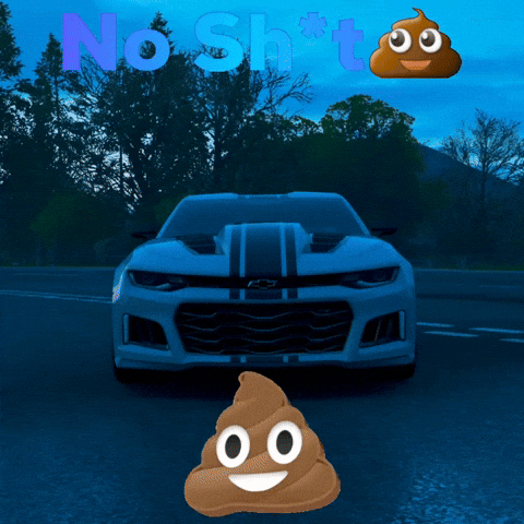 No Sht GIF