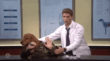 Dog Snl GIF by Saturday Night Live