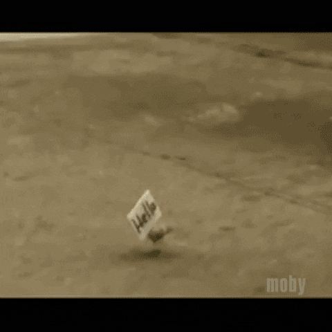 Little Idiot GIF by Moby