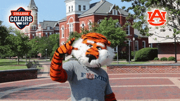 Happy College Football GIF by College Colors Day
