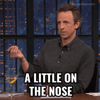 Spot On Seth Meyers GIF by Late Night with Seth Meyers