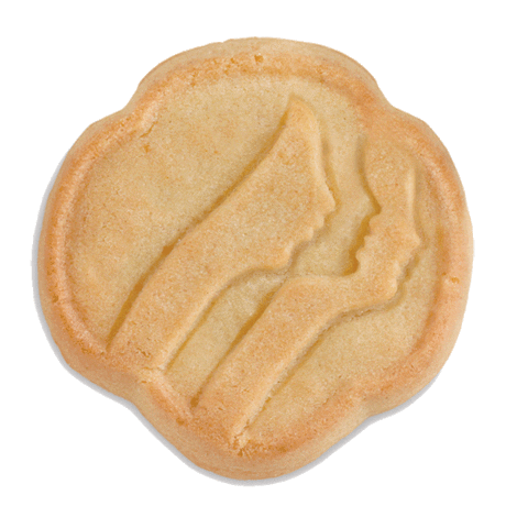 Girl Scouts Box Sticker by BTC Revolutions